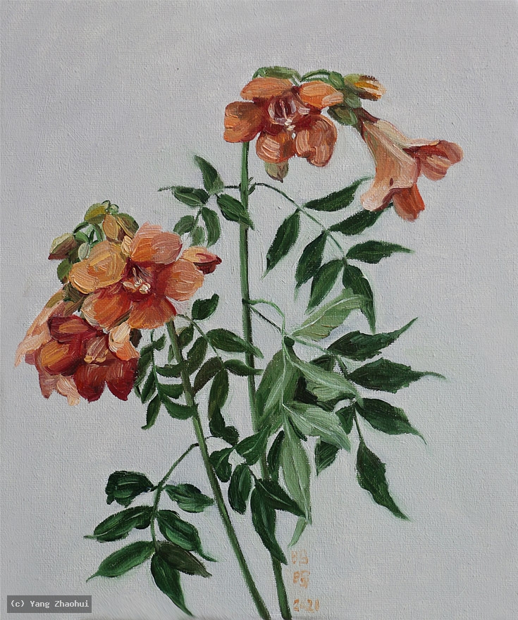 Artist Yang Zhaohui, Artist Zhaohui Yang, Artist Zhao hui Yang, Yang Zhaohui artwork, China contemporary art, original artwork, original painting, Chinese robe, still life, oil painting, acrylic paint